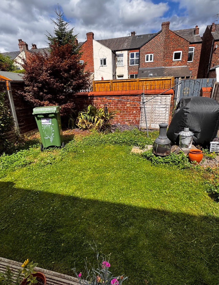 Cut the grass